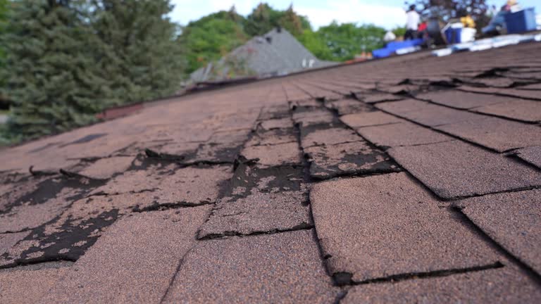 Best Gutter Installation and Repair  in Valley View, OH